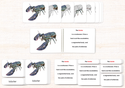 Invertebrates 