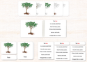 Botany Build-a-Book Bundle by Maitri