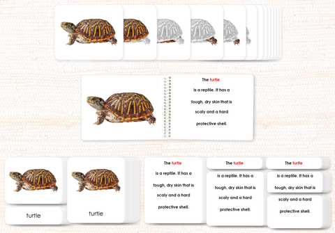 Vertebrates "Parts of" Book & Card Bundle by Maitri