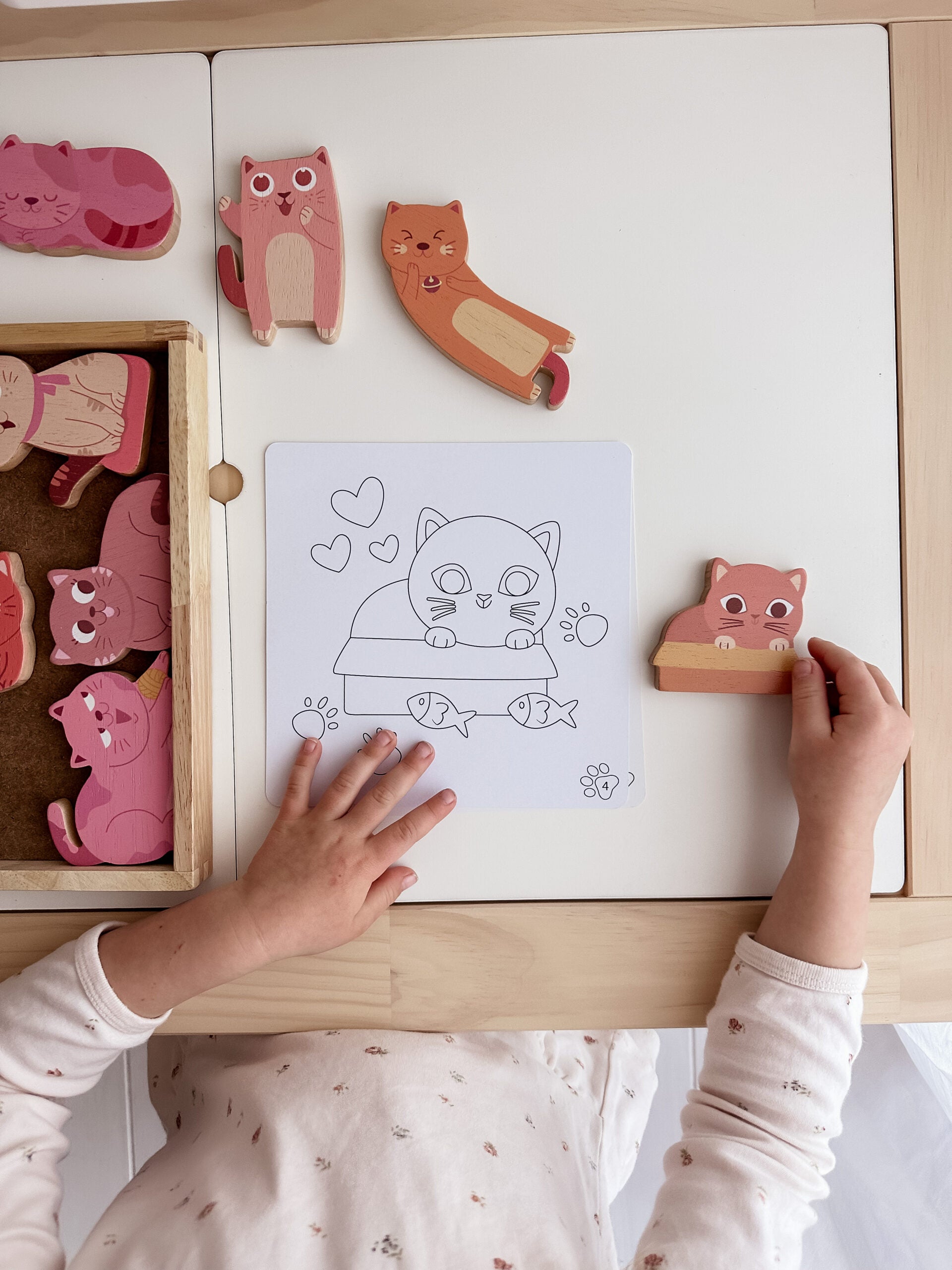 Cat play set & colouring