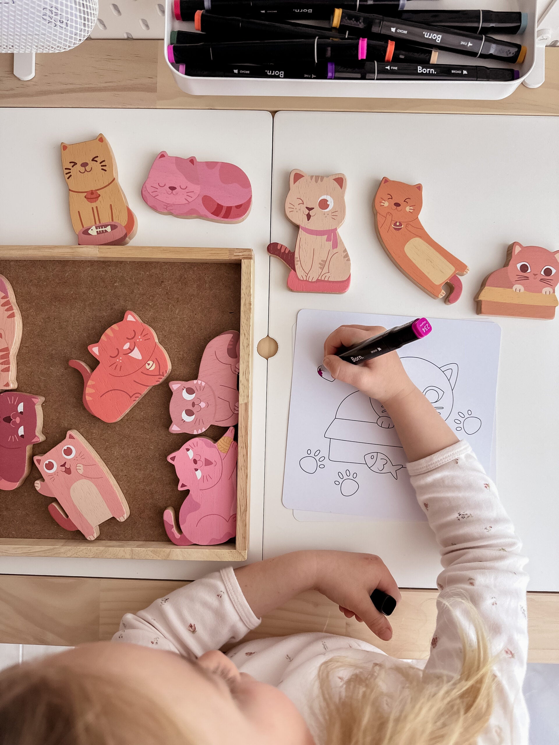 Cat play set & colouring