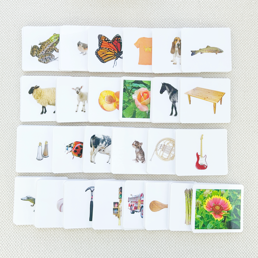 Basic Vocabulary Card Set/26 by Maitri