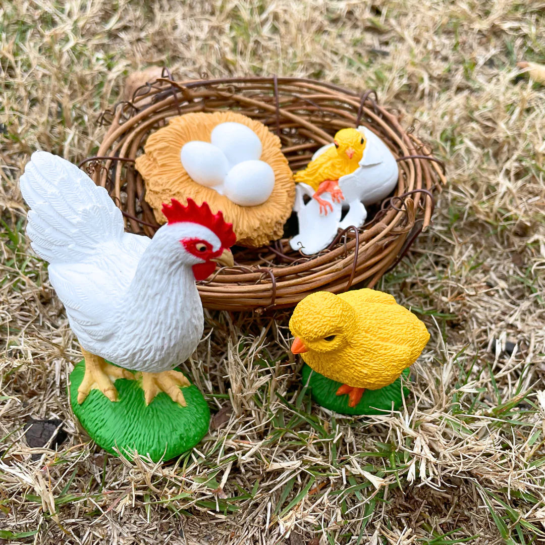 Life Cycle Replicas: Chicken Stages