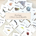 Zoology 3-Part Card Bundle by Maitri