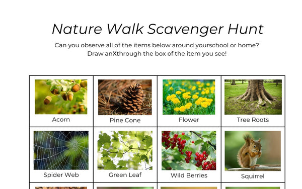 Nature Walk Scavenger Hunt