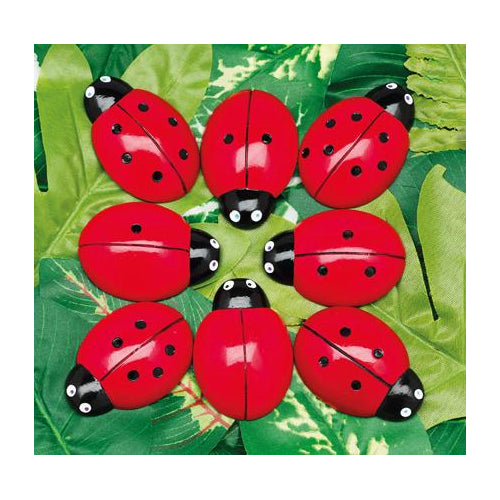 0-10 Tactile Ladybugs Stones Set/22