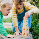 Life Cycle Wooden Blocks