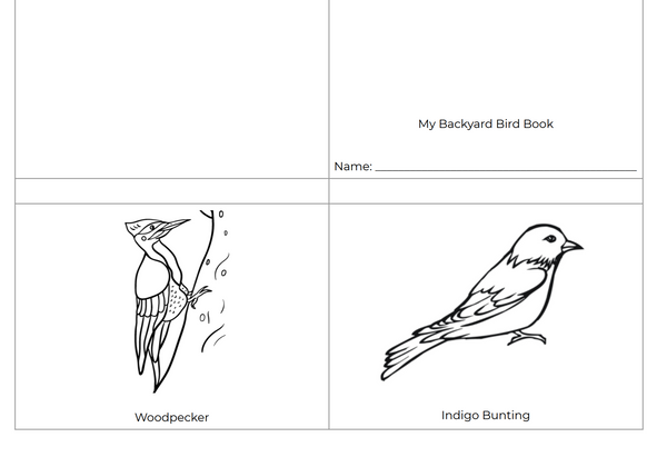 My Backyard Bird Book