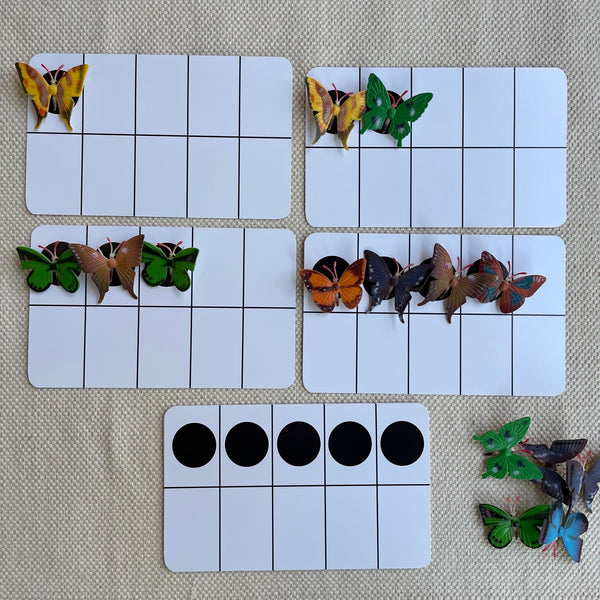 Pictorial: Count-a-Butterfly Kit