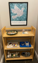 Peace Dove Montessori Mosaic Poster