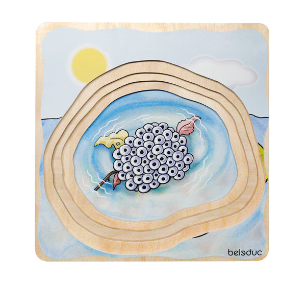 Multi-Layer Nesting Wood Puzzle: Egg to Frog 5-Layer