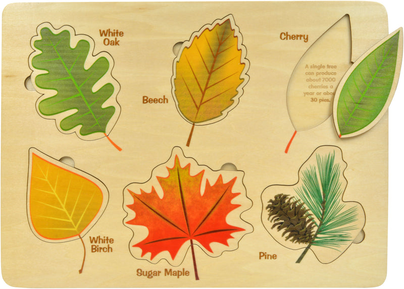 True to Life Leaves Wood Puzzle