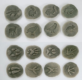 Animals & Footprints: Woodland Sensory Stones Set 