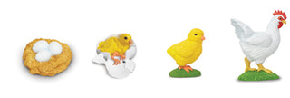 Lifecycle Replicas: Chicken Stages 
