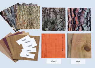 Trees: Bark & Grain Laminated Photo Cards & Labels 