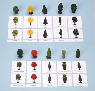 Trees Minatures with 3-Part Laminated Cards 
