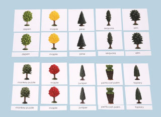 Trees Laminated 3-Part Cards Only 