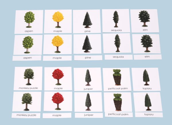 Trees Laminated 3-Part Cards Only 