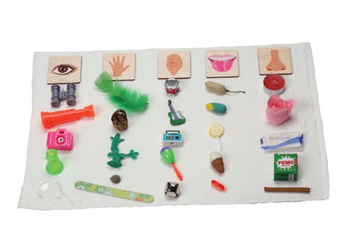 Sensory Classification: 5 Senses Objects & Wood Sorting Labels Kit