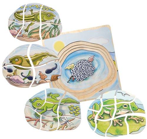 Multi-Layer Nesting Wood Puzzle: Egg to Frog 5-Layer