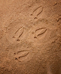 Animals & Footprints: Woodland Sensory Stones Set