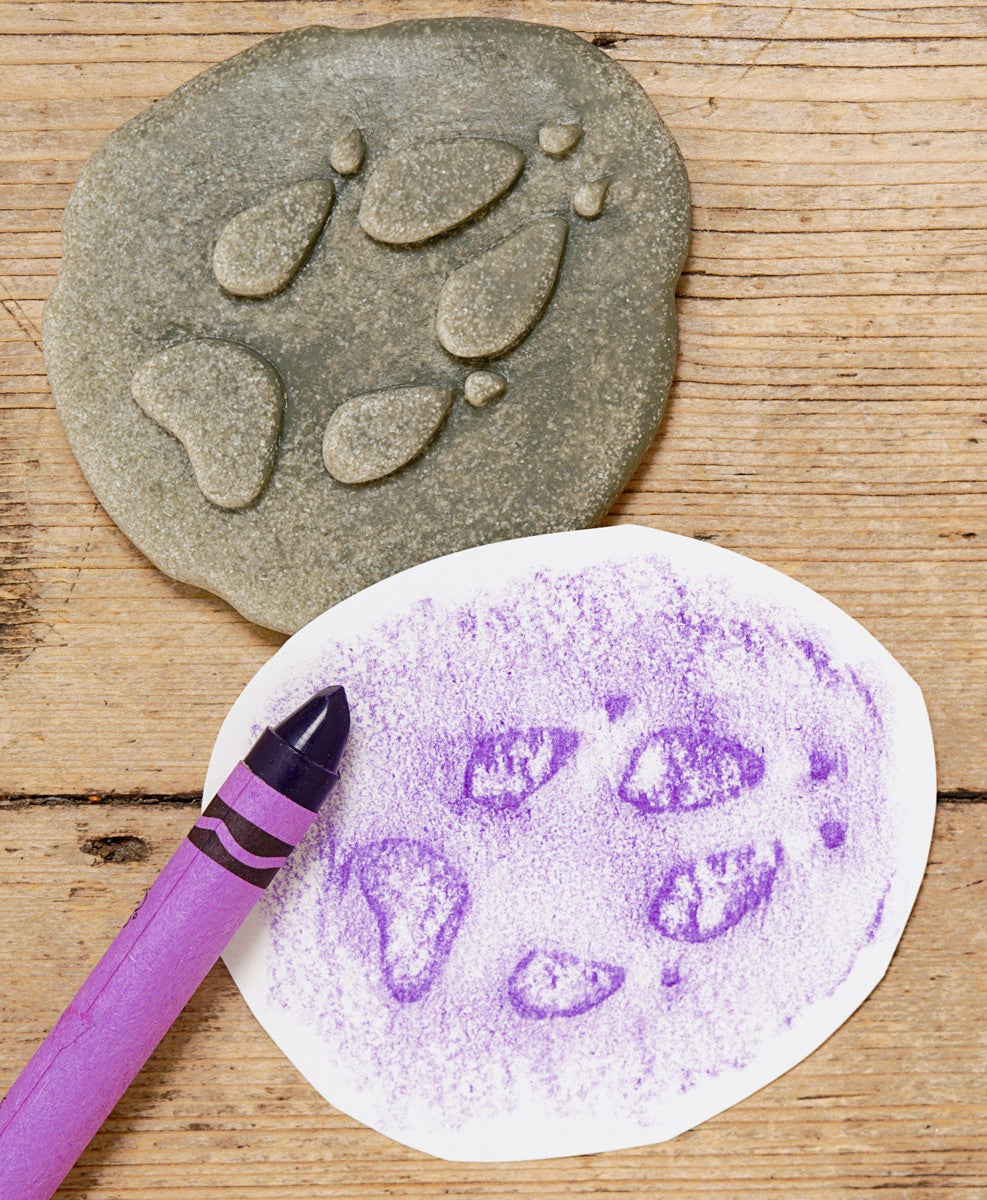 Animals & Footprints: Woodland Sensory Stones Set