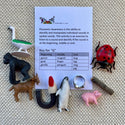 Phonemic Awareness_ Articulation Kit: Objects and Laminated Letters for Forming Sounds