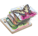 Multi-Layer Nesting Wood Puzzle: Egg to Butterfly 5 Layer