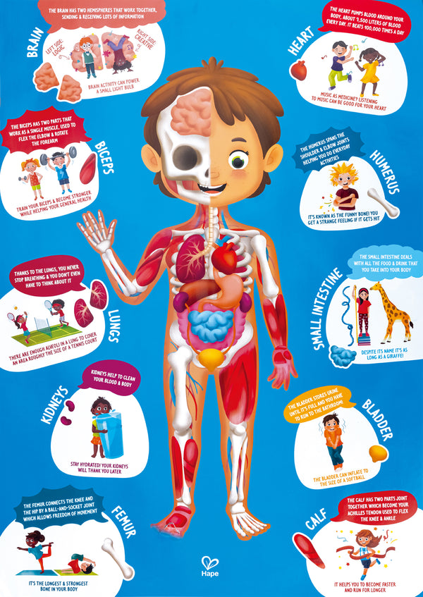 Human Body Floor Puzzle
