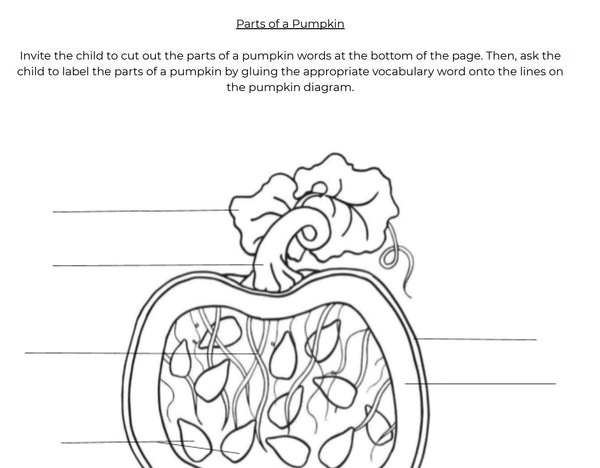 Parts of a Pumpkin