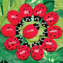 0-10 Tactile Ladybugs Stones Set/22